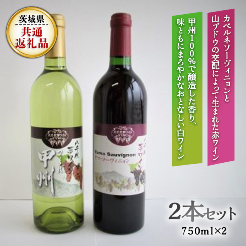八千代夢ワインシリーズ　ヤマ・ソーヴィニョン（赤）・つくば甲州（白）２本セット（茨城県共通返礼品 八千代町） 国産 ワイン 赤ワイン 白ワイン [BW008sa] 1364521 - 茨城県桜川市