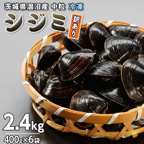 【訳あり】茨城県 涸沼産 中粒 冷凍 シジミ 2.4kg（400g×6袋） ヤマトシジミ しじみ 中粒 冷凍 味噌汁 スープ 魚貝類 貝 オルニチン コハク酸 小分け 規格外 [EL003sa] 1364523 - 茨城県桜川市