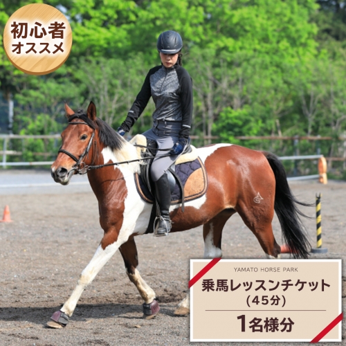 乗馬レッスン１回コース（45分） 乗馬 トレッキング 体験チケット アウトドア  [DE008sa] 1364544 - 茨城県桜川市