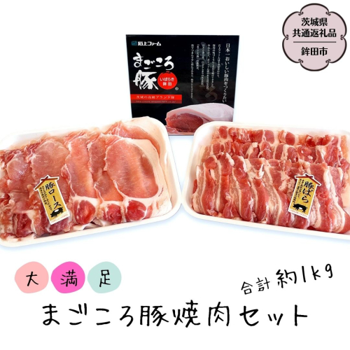 まごころ豚 焼肉セット バラ 500g ロース500g 合計1kg (茨城県共通返礼品／鉾田市) ブランド豚 バラ ロース 焼肉 BBQ 仲田精肉店 [DB002sa] 1364613 - 茨城県桜川市
