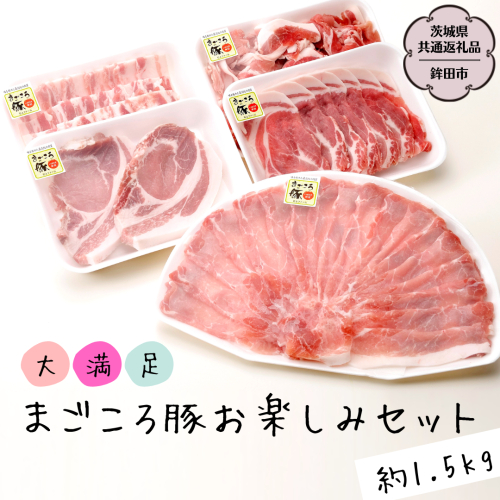 大満足！まごころ豚 お楽しみ セット 約1.5kg（茨城県共通返礼品 鉾田市） ブランド豚 銘柄豚 豚肉 モモしゃぶしゃぶ 肩ロース バラ ロース こま切れ 焼肉 しょうが焼 仲田精肉店 [DB001sa] 1364625 - 茨城県桜川市