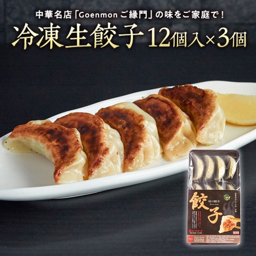 Goenmonの 冷凍生餃子 本格 中華 冷凍餃子 生餃子 餃子 ギョウザ 焼餃子 セット お取り寄せ 手包み おつまみ おかず [BK006sa] 1364666 - 茨城県桜川市