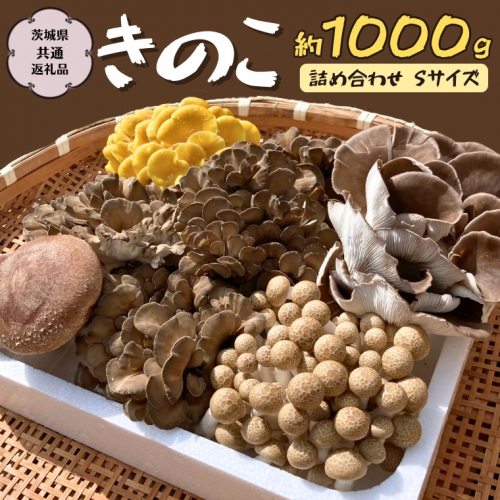 きのこ の 詰め合わせ Sサイズ  約1000g 【茨城県共通返礼品 城里町】 キノコ 舞茸 あわび茸 たもぎ茸 しいたけ ぶなしめじ  [CX001sa] 1364678 - 茨城県桜川市