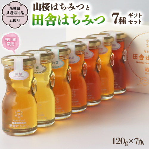 【桜川市限定】 山桜 はちみつ と 田舎 はちみつ 全7種 ギフトセット [結蜜 Musubi-R7山桜] 【茨城県共通返礼品／五霞町】 120g×7 瓶 生ハチミツ 非加熱 国産 国産はちみつ ハチミツ 茨城県産 [BS006sa] 1364792 - 茨城県桜川市