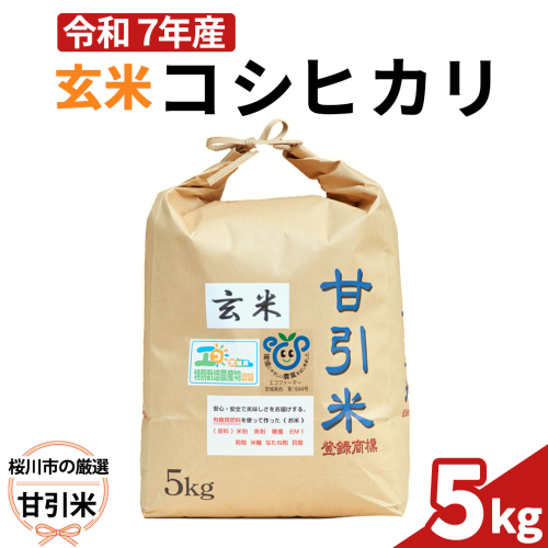 令和7年産 桜川市の 厳選 甘引米 コシヒカリ 玄米 5kg 特別栽培米 コシヒカリ こしひかり 玄米 米 こめ コメ 有機肥料 桜川市産 茨城県 いばらき [BA003sa] 1364884 - 茨城県桜川市