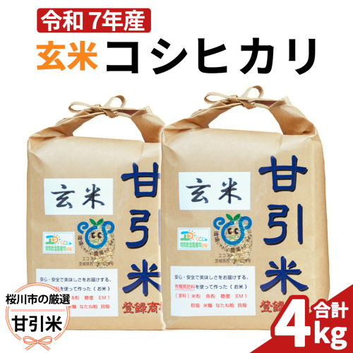 令和7年産 桜川市の 厳選甘引米 コシヒカリ 玄米 4kg 桜川市産 玄米 コシヒカリ こしひかり 米 こめ コメ 茨城県 いばらき 有機肥料 [BA005sa] 1364886 - 茨城県桜川市
