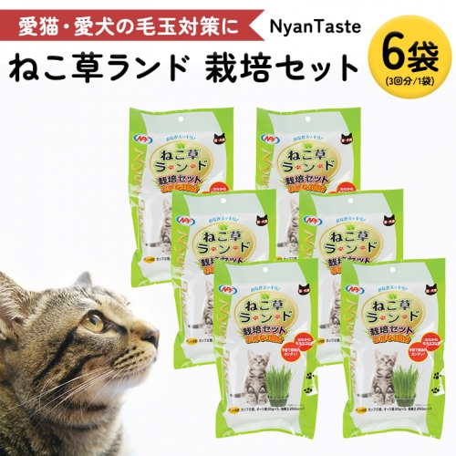 Nyantaste ねこ草ランド栽培セット ３回分×６袋 毛玉ケア 猫用 犬用 ペットフード [BU005sa] 1364896 - 茨城県桜川市