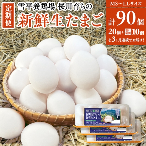 【3ヵ月定期便】雪平養鶏場 桜川育ちの 新鮮 たまご 合計90個 （20個＋10個割れ補償付)×3回  数量限定 卵 定期便 茨城県 桜川市 [SC033sa] 1365016 - 茨城県桜川市