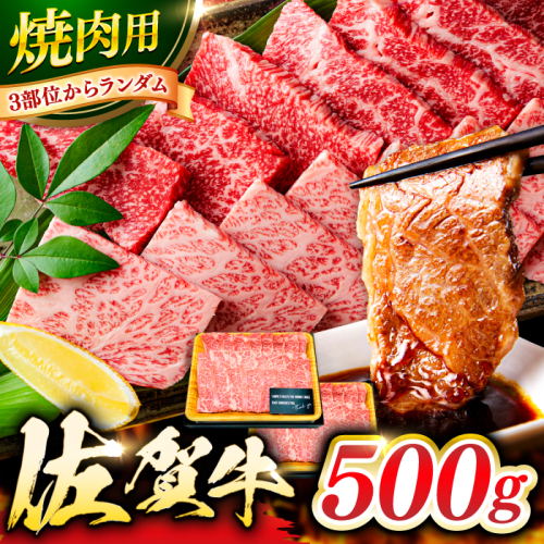 艶さし！ 佐賀牛 焼肉用 500g 吉野ヶ里町 [FDB008] 1365094 - 佐賀県吉野ヶ里町