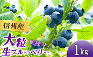 3901 信州産 新鮮朝摘み 色んな種類の大粒生ブルーベリー 1kg