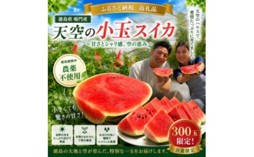【予約受付中・7月下旬以降順次発送】天空のスイカ 【数量限定】 すいか 西瓜 小玉スイカ 栽培期間中農薬不使用 1365447 - 徳島県鳴門市