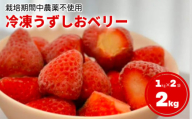 KISAI GARDEN 冷凍 うずしおベリー 2kg | 苺 いちご イチゴ 徳島 鳴門 果物 フルーツ スムージー ジャム