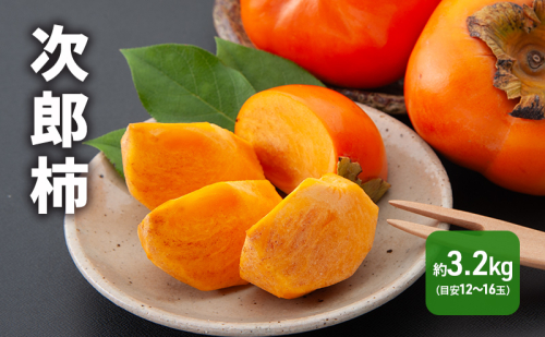 【2026年11月上旬より順次発送】 次郎柿 3.2kg 12～16個 静岡県 浜松市 果物 くだもの フルーツ 柿 かき  1365799 - 静岡県浜松市