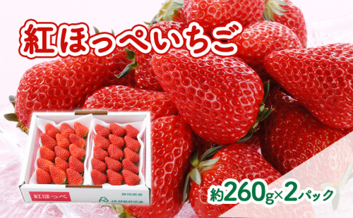 【2026年1月中旬より順次発送】紅ほっぺいちご 約260g×2パック【配送不可：離島】  1365802 - 静岡県浜松市