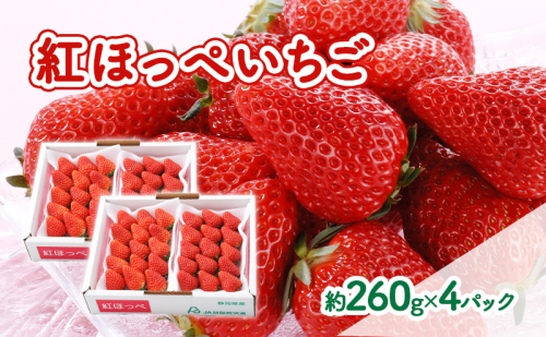 【2026年1月中旬より順次発送】紅ほっぺいちご 約260g×4パック【配送不可：離島】  1365803 - 静岡県浜松市