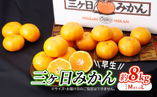 【2025年11月中旬より順次発送】 三ヶ日みかん 早生 8kg M～L 早生みかん みかん 蜜柑 ミカン 果物 くだもの 旬のフルーツ 旬の果物 季節のフルーツ 季節の果物 柑橘 柑橘類 静岡 静岡県 浜松市 1365807 - 静岡県浜松市