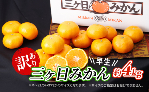 【2025年11月中旬より順次発送】 訳あり 三ヶ日みかん 早生 4kg 早生みかん みかん 蜜柑 ミカン 果物 くだもの 旬のフルーツ 旬の果物 季節のフルーツ 季節の果物 柑橘 柑橘類 訳アリ 静岡 静岡県 浜松市 1365808 - 静岡県浜松市