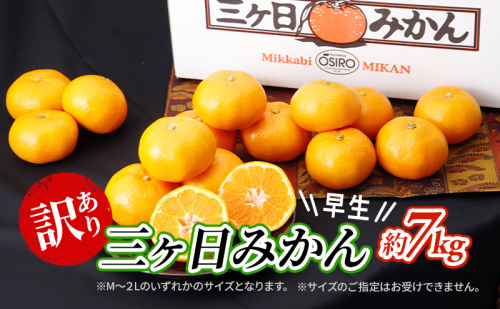 【2026年11月中旬より順次発送】 訳あり 三ヶ日みかん 早生 7kg 早生みかん みかん 蜜柑 ミカン 果物 くだもの 旬のフルーツ 旬の果物 季節のフルーツ 季節の果物 柑橘 柑橘類 訳アリ 静岡 静岡県 浜松市 1365809 - 静岡県浜松市