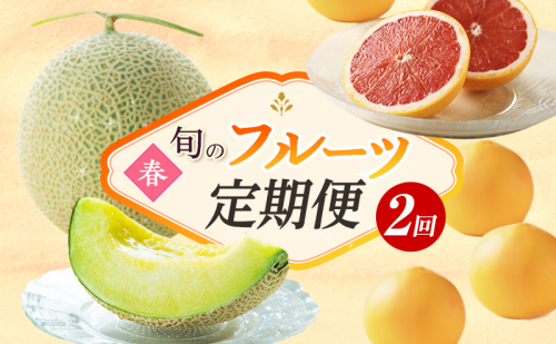 【2026年4月上旬より発送】浜松市のフルーツ定期便 2回（4月～5月）グレープフルーツ・クラウンメロン  1365810 - 静岡県浜松市