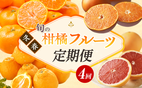 【2026年1月中旬より発送】浜松市の柑橘定期便 4回（1月～4月）三ヶ日みかん青島・せとか・不知火・グレープフルーツ 1365811 - 静岡県浜松市