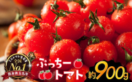ぷっちートマト ミニトマト 900ｇ | 野菜 やさい ミニトマト ミニ とまと トマト 900ｇ リコピン 熊本県 玉名市