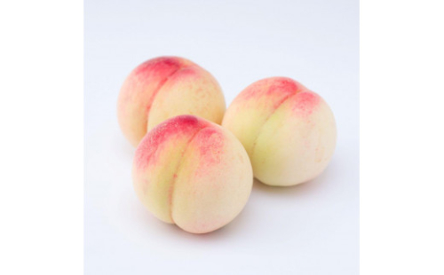 和歌山県産 桃 5玉～6玉 約1.5kg 秀品［AS2］ 1365966 - 和歌山県那智勝浦町