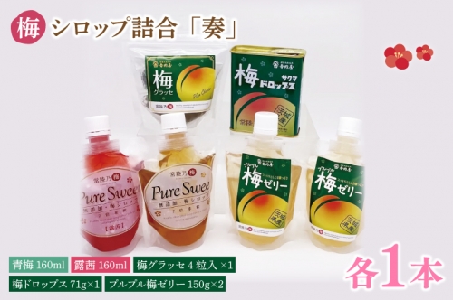 梅シロップ詰合「奏」 昔ながら 老舗 伝統 国産 大洗 大洗町 梅干し 梅干 梅 うめぼし うめ 1366128 - 茨城県大洗町