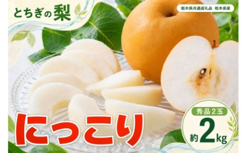 梨 にっこり 大玉 2玉 秀品 2kg 【栃木県共通返礼品】栃木県産｜果物 フルーツ おいしい お取り寄せ 栃木県 下野市