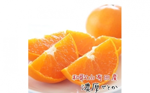 和歌山有田産 せとか 約4～5kg 高級希少柑橘 芳醇で濃厚な甘さ。 1366424 - 和歌山県有田川町