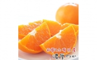 和歌山有田産 せとか 約4～5kg 高級希少柑橘 芳醇で濃厚な甘さ。