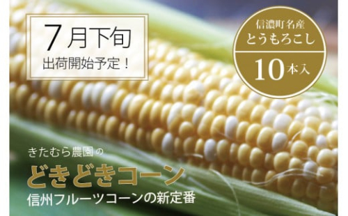 【品切れ御礼！】きたむら農園『どきどきコーン』×10本セット（約4～4.2kg相当）信濃町名産とうもろこし／スイートコーンの定番品種、現在出荷中！【長野県信濃町ふるさと納税】