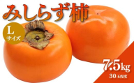 【先行予約】みしらず柿 (Lサイズ) 7.5kg詰め F4D-0207