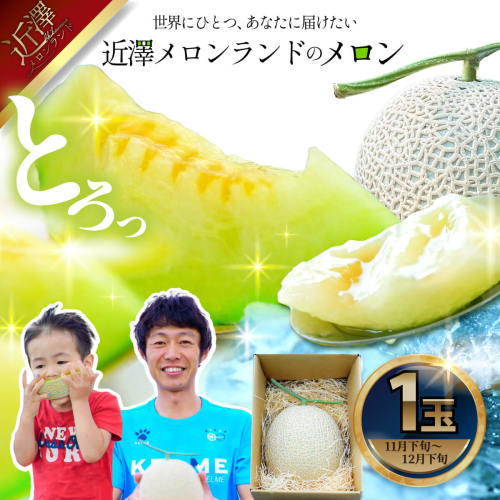 先行予約 メロン １玉入（約1.4kg～1.8kg）青肉 2025年冬発送 期間限定 1367277 - 高知県土佐市