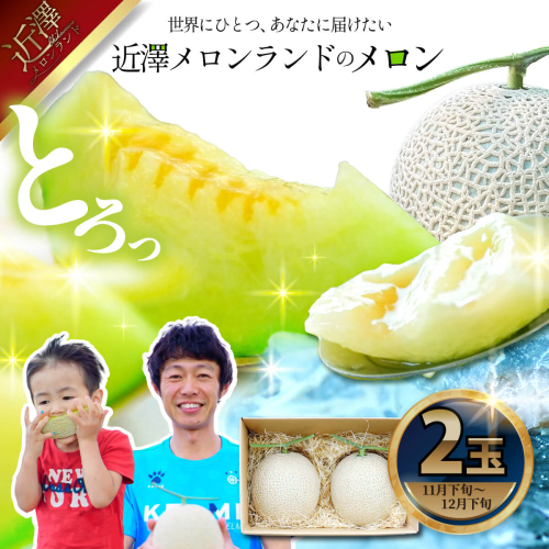 先行予約 メロン ２玉入り（1玉約1.4kg～1.8kg）青肉 2025年冬発送 期間限定 メロン めろん マスクメロン 舐瓜 果物 くだもの フルーツ デザート 旬 ハウス栽培 常温配送 1367278 - 高知県土佐市