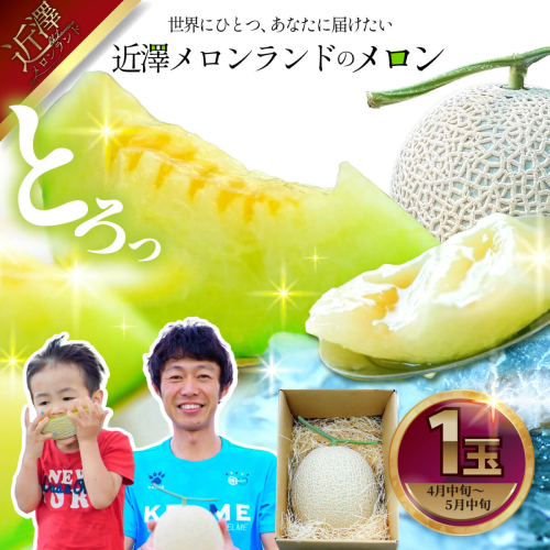 先行予約 メロン １玉入（約1.4kg～1.8kg）青肉 2026年春発送 期間限定 1367447 - 高知県土佐市