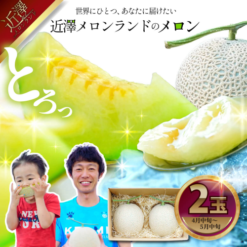 先行予約 メロン ２玉入り（1玉約1.4kg～1.8kg）青肉 2026年春発送 期間限定 メロン めろん マスクメロン 舐瓜 果物 くだもの フルーツ デザート 旬 ハウス栽培 常温配送 1367449 - 高知県土佐市