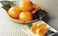 山形市産「柿」(平核無) 7.5kg(36～40玉) FY19-430