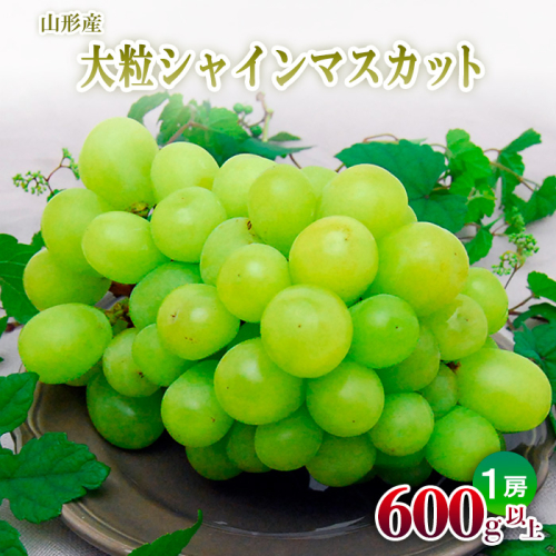 山形の大粒シャインマスカット 1房(600g以上)【令和8年産先行予約】FU22-798 136752 - 山形県山形市
