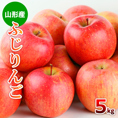 山形市産 ふじりんご 5kg(18～20玉) FZ19-428 136762 - 山形県山形市