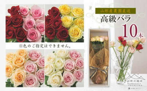 山形産農園直送高級バラ 10本 FZ26-744 136770 - 山形県山形市
