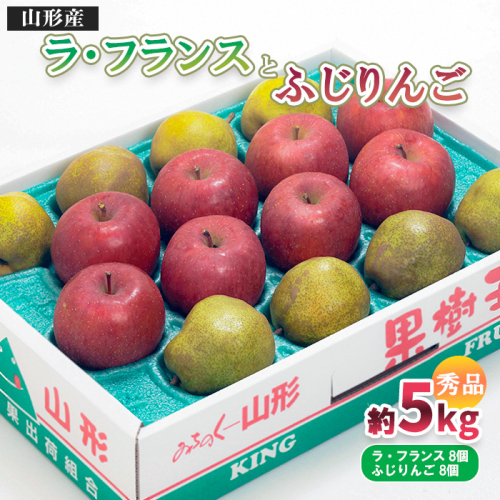 山形市産 ふじりんご・ラ・フランス 詰合せ 5kg FY25-846 136804 - 山形県山形市