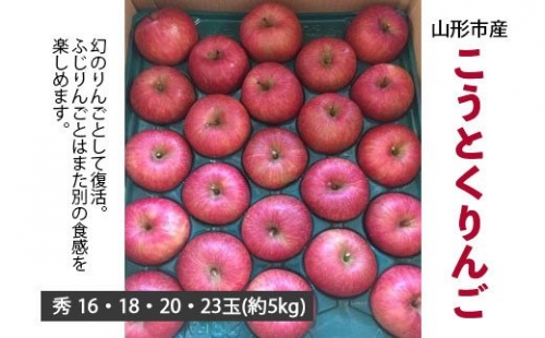 山形市産 こうとくりんご 5kg FY20-521 136807 - 山形県山形市