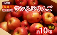 【家庭用】無袋栽培ふじりんご 優品 約10kg入り FY20-579