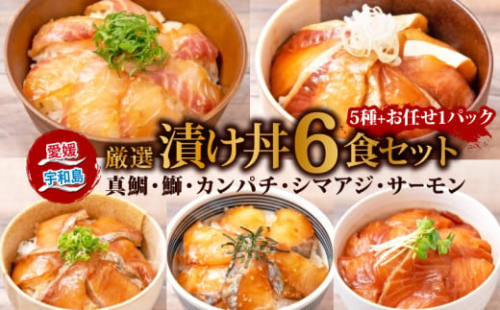 漬丼 厳選 活締め 5種 漬け丼 6食 セット 南予ビージョイ 鮭 サーモン 鰤 ブリ 真鯛 鯛 カンパチ 縞鯵 シマアジ 鯵 あじ 食べ比べ 漬け丼 づけ丼 りゅうきゅう 人気 加工品 漬け丼 新鮮 水産品 漬け 漬け丼 刺身 海鮮丼 数量限定 国産 愛媛 宇和島 D010-150005