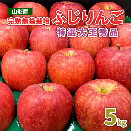 完熟無袋栽培ふじりんご 特選大玉秀品5kg入り FY25-900 136819 - 山形県山形市