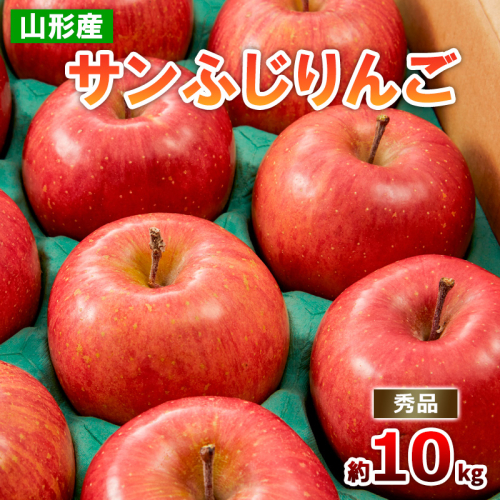 山形のサンふじりんご 約10kg 秀品(20～50玉) FZ19-140 136820 - 山形県山形市