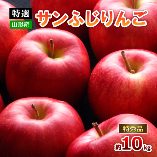 【特選】山形のサンふじりんご 約10kg 特秀品(20～50玉) FZ19-141 136822 - 山形県山形市