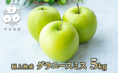 2026年産先行予約 樹上熟成　グラニースミス 5kg  1368360 - 長野県長野市
