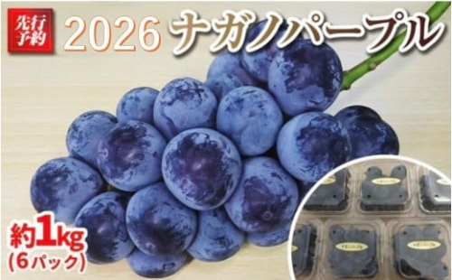 【先行予約】A 2026 P ナガノパープル粒どり6パック 約1kg弱 (2026年9月下旬頃～順次発送予定）長野県産  国際特許有機肥料栽培｜ 果物 フルーツ ぶどう ブドウ  食べきりサイズ 人気 おすすめ 葡萄  ギフト 送料無料 長野県 大町市 1368587 - 長野県大町市