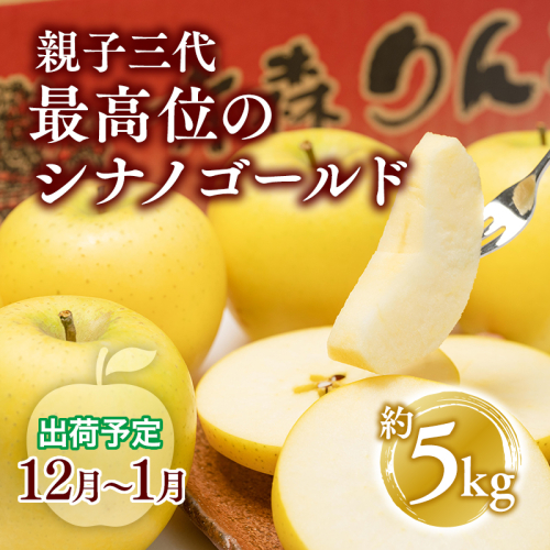 【全国ふじコンテスト最高賞受賞・青森りんご・平川市広船産・12月・1月発送】年内 家庭用　親子三代最高位のシナノゴールド約5kg 1368672 - 青森県平川市